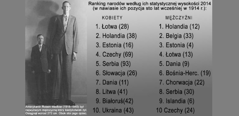 Zdjęcie przedstawia Poddupnik dla dorosłego. Czy niscy dorośli powinni korzystać w aucie z urządzeń podwyższających?