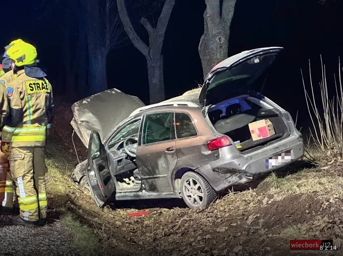 Rów, zderzenie z drzewem i dachowanie. Przeżyło 5-miesięczne dziecko!