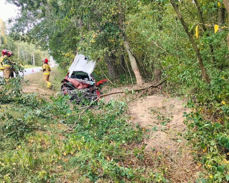 Zdjęcie przedstawia 7-latka i jej mama poszkodowane w wypadku. Samochód rozbił się na drzewie.