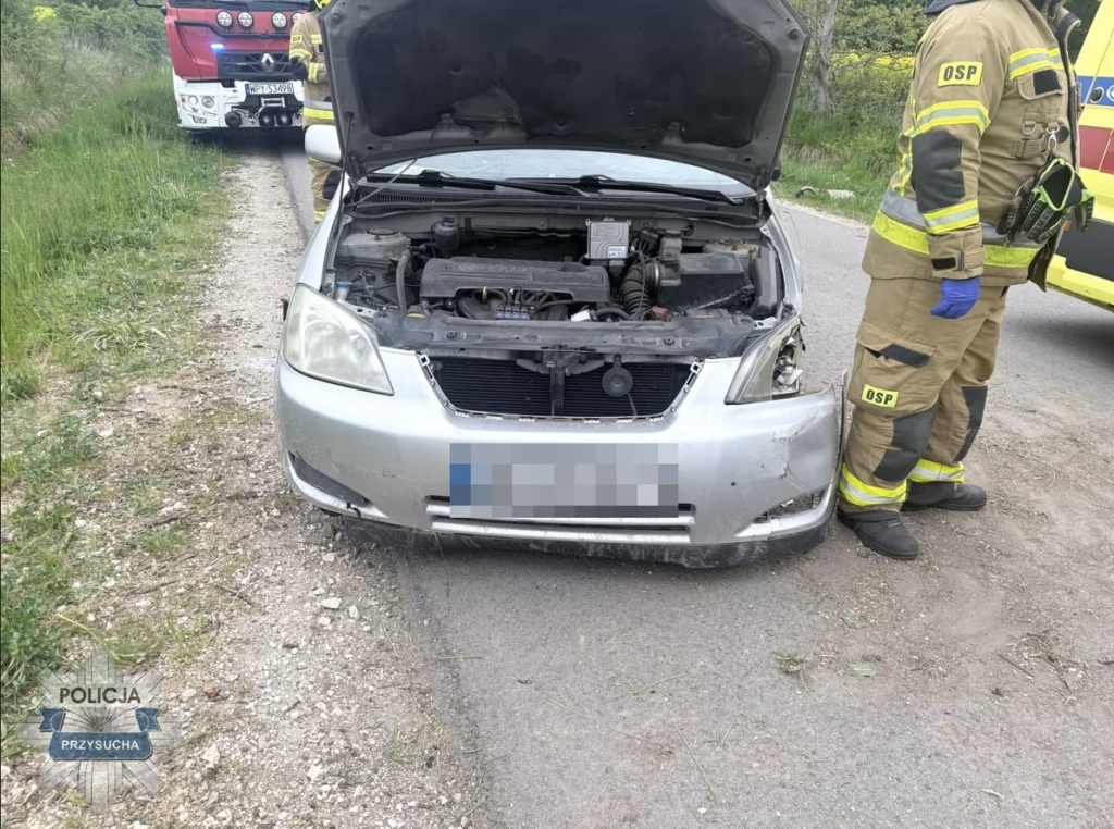 Zdjęcie przedstawia Zasnął za kierownicą i wjechał do rowu. 5-letni syn wypadł z fotelika, bo… nie miał zapiętych pasów!
