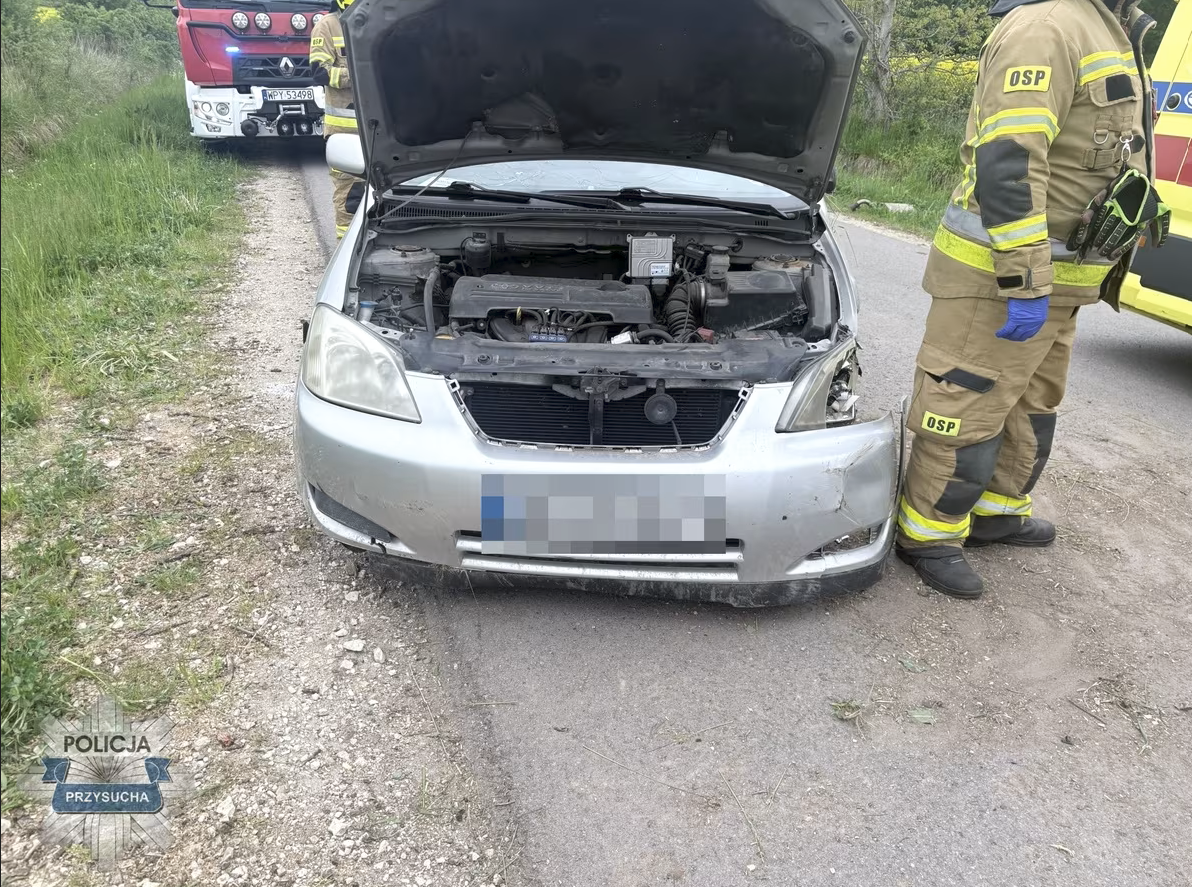 Zdjęcie przedstawia Zasnął za kierownicą i wjechał do rowu. 5-letni syn wypadł z fotelika, bo… nie miał zapiętych pasów!